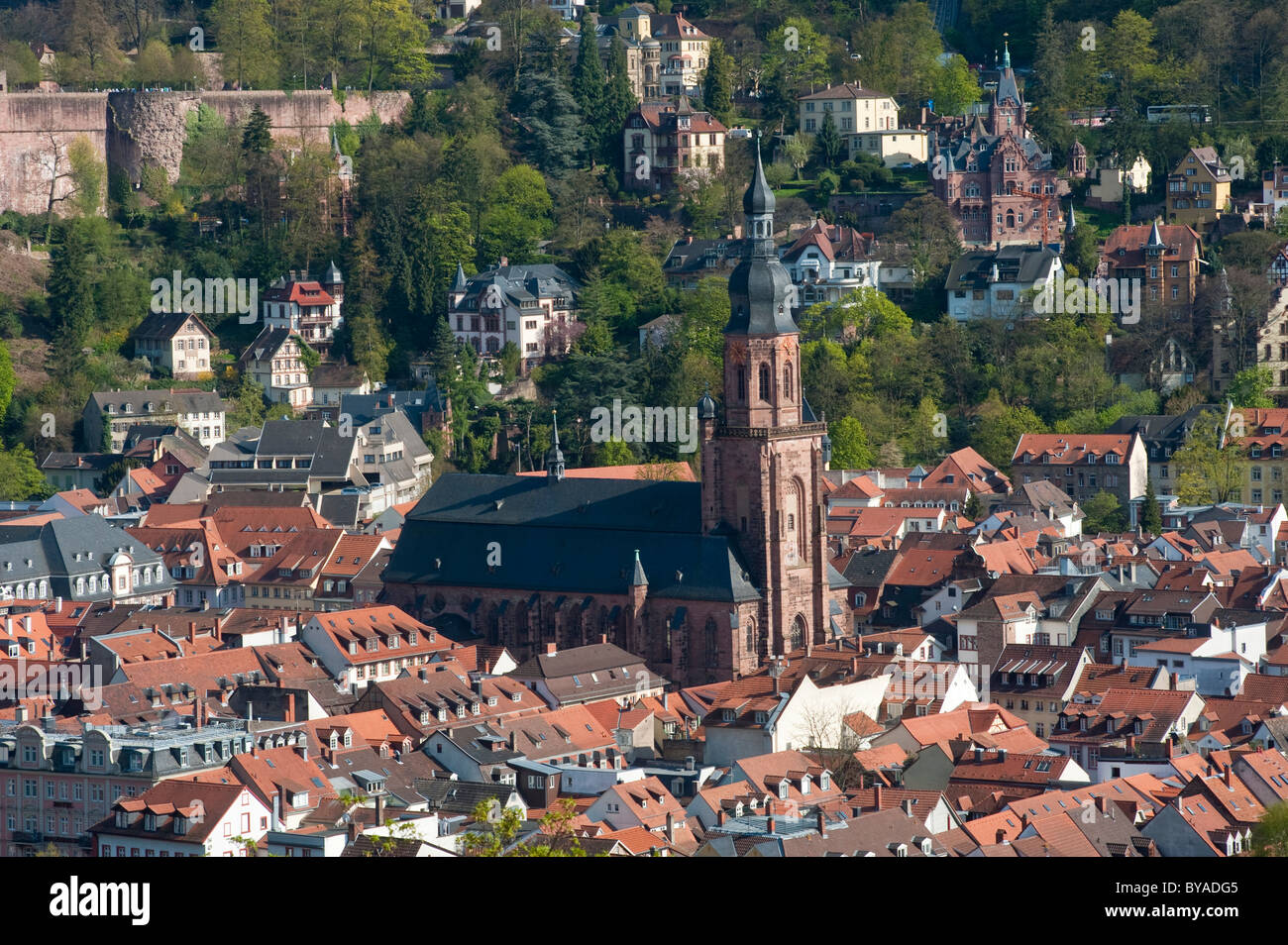 City view seen from Philosophers' Walk, Heidelberg, Neckar, Palatinate, Baden-Wuerttemberg, Germany, Europe Stock Photo
