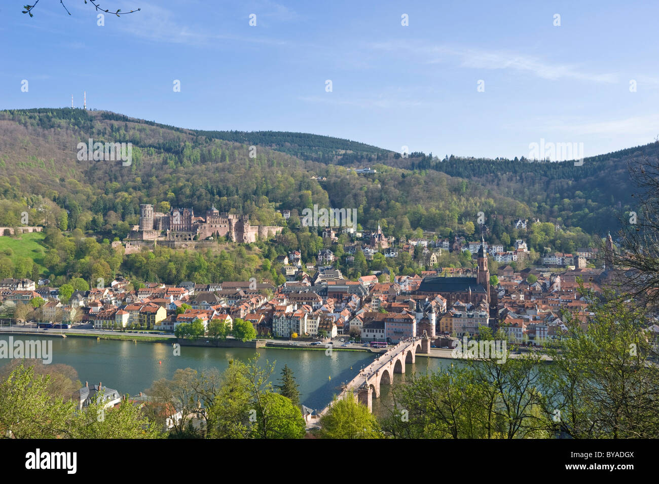 City view seen from Philosophers' Walk, Heidelberg, Neckar, Palatinate, Baden-Wuerttemberg, Germany, Europe Stock Photo