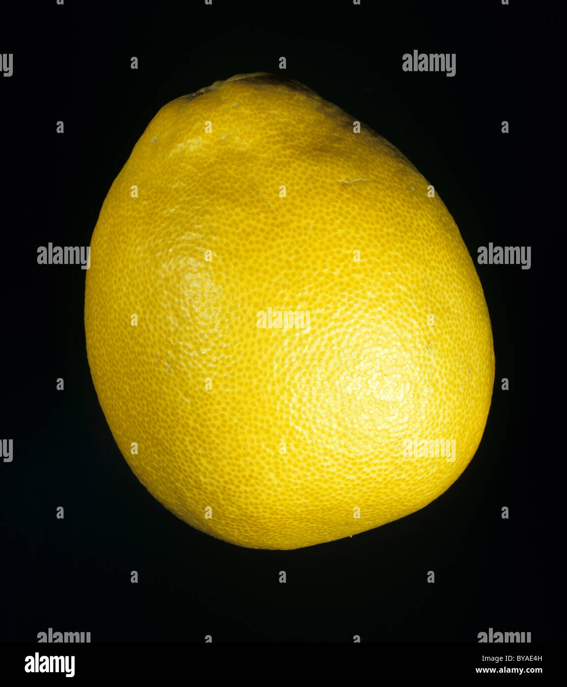 Pomelo chinese citrus fruit hires stock photography and images Alamy