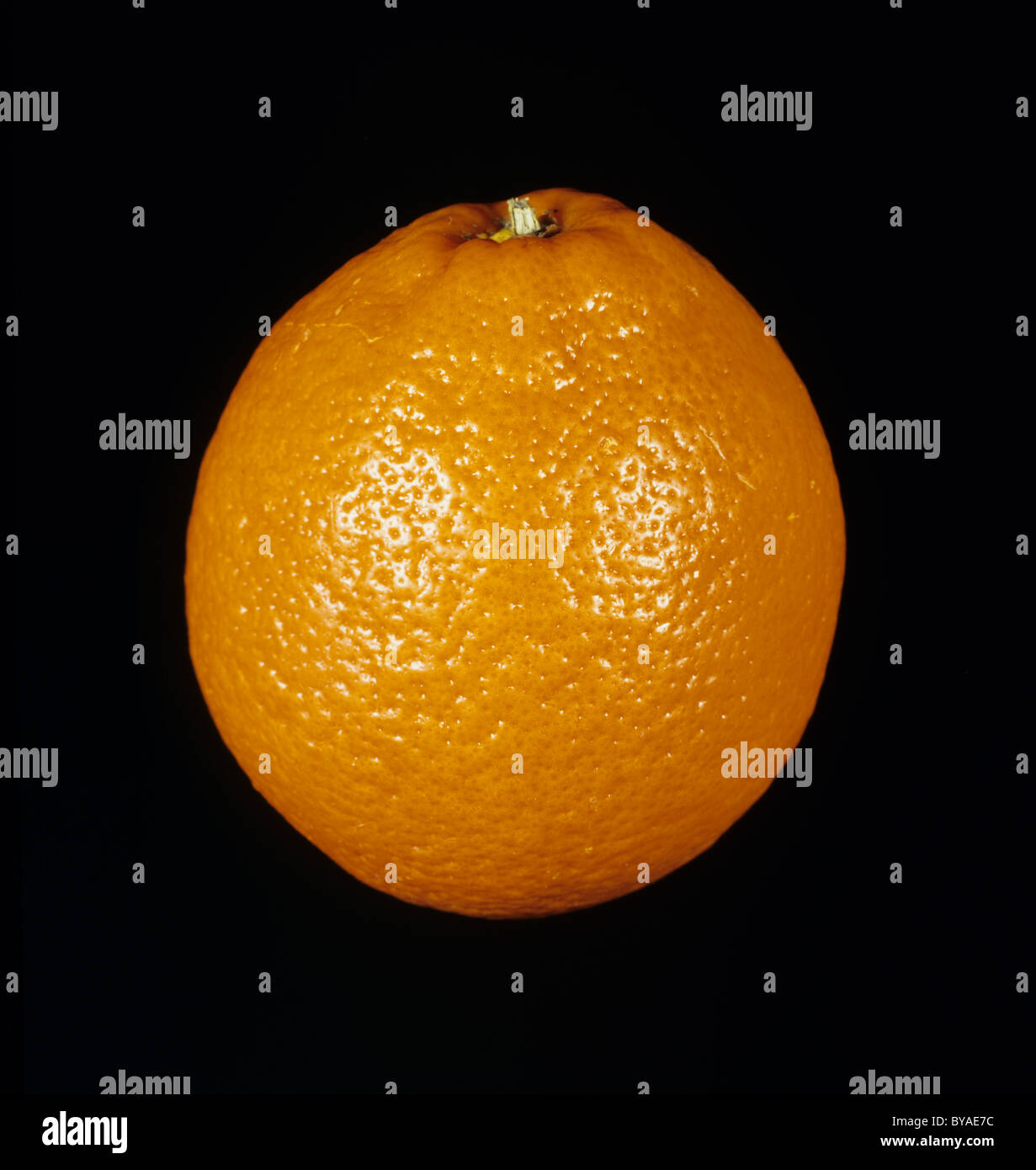 Whole orange fruit variety Minneola Tangelo Stock Photo