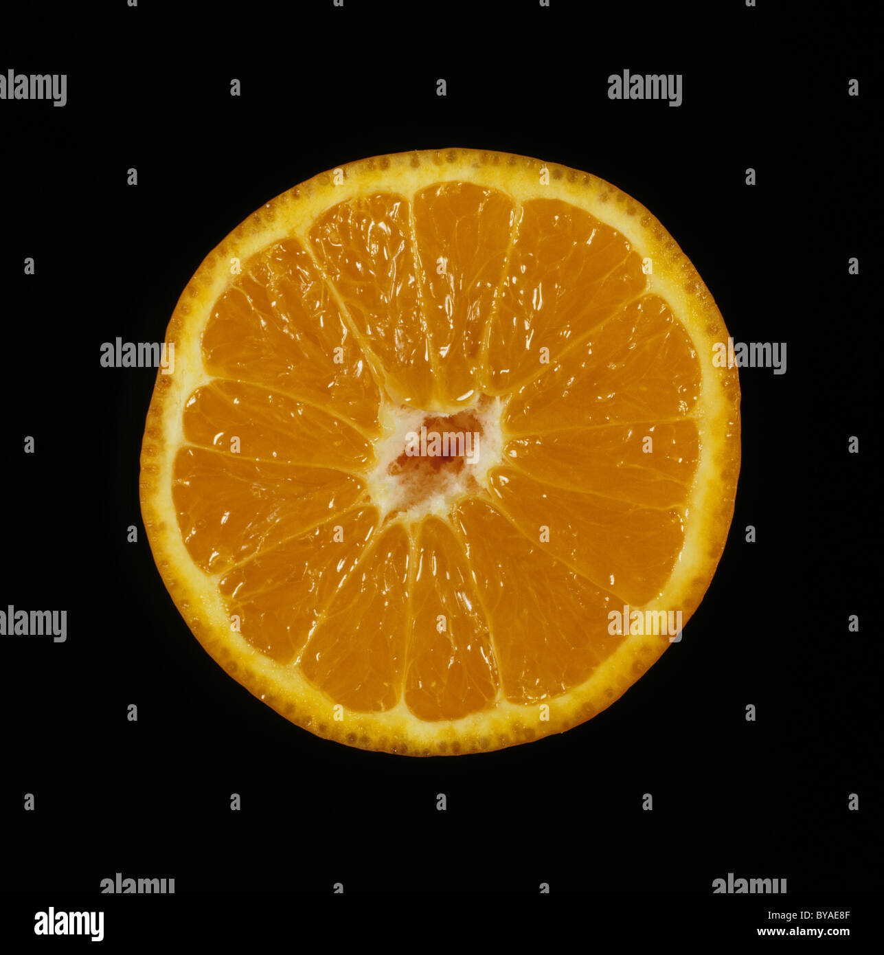 Section of cut orange fruit variety Minneola Tangelo Stock Photo Alamy