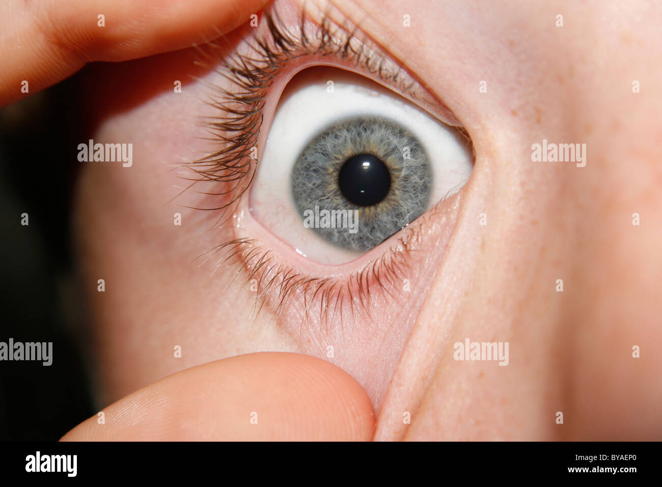 close up of eye Stock Photo