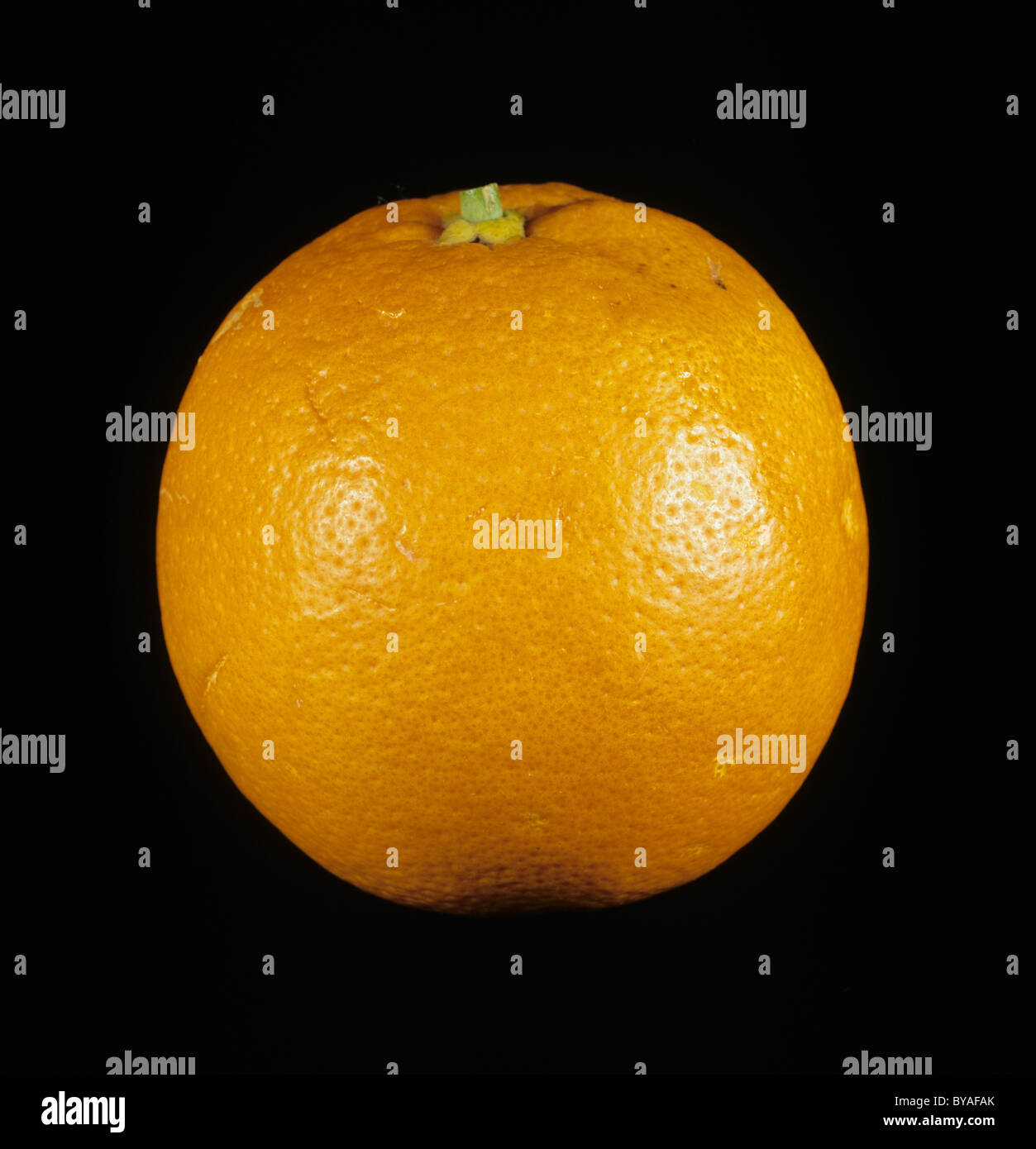Whole orange fruit variety Hamlin Stock Photo