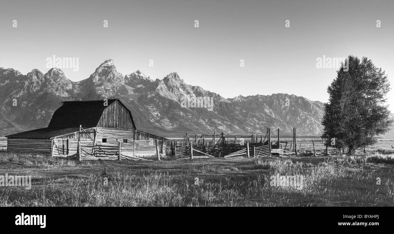 Black and white, Sepia John and Bartha Moulton Homestead Mormon Barn in the morning, historic barn in front of the Teton Range Stock Photo