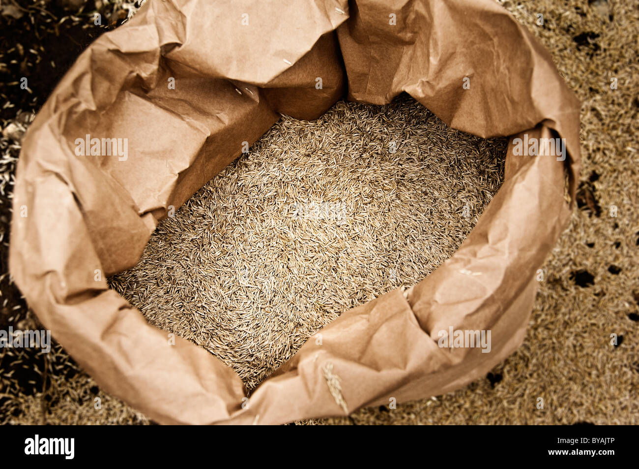 sack of seeds Stock Photo