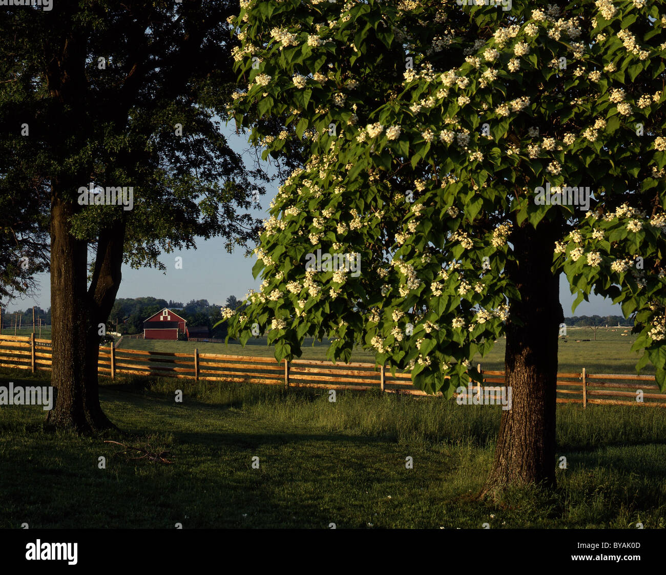 Farm Gettysburg, PA Stock Photo Alamy