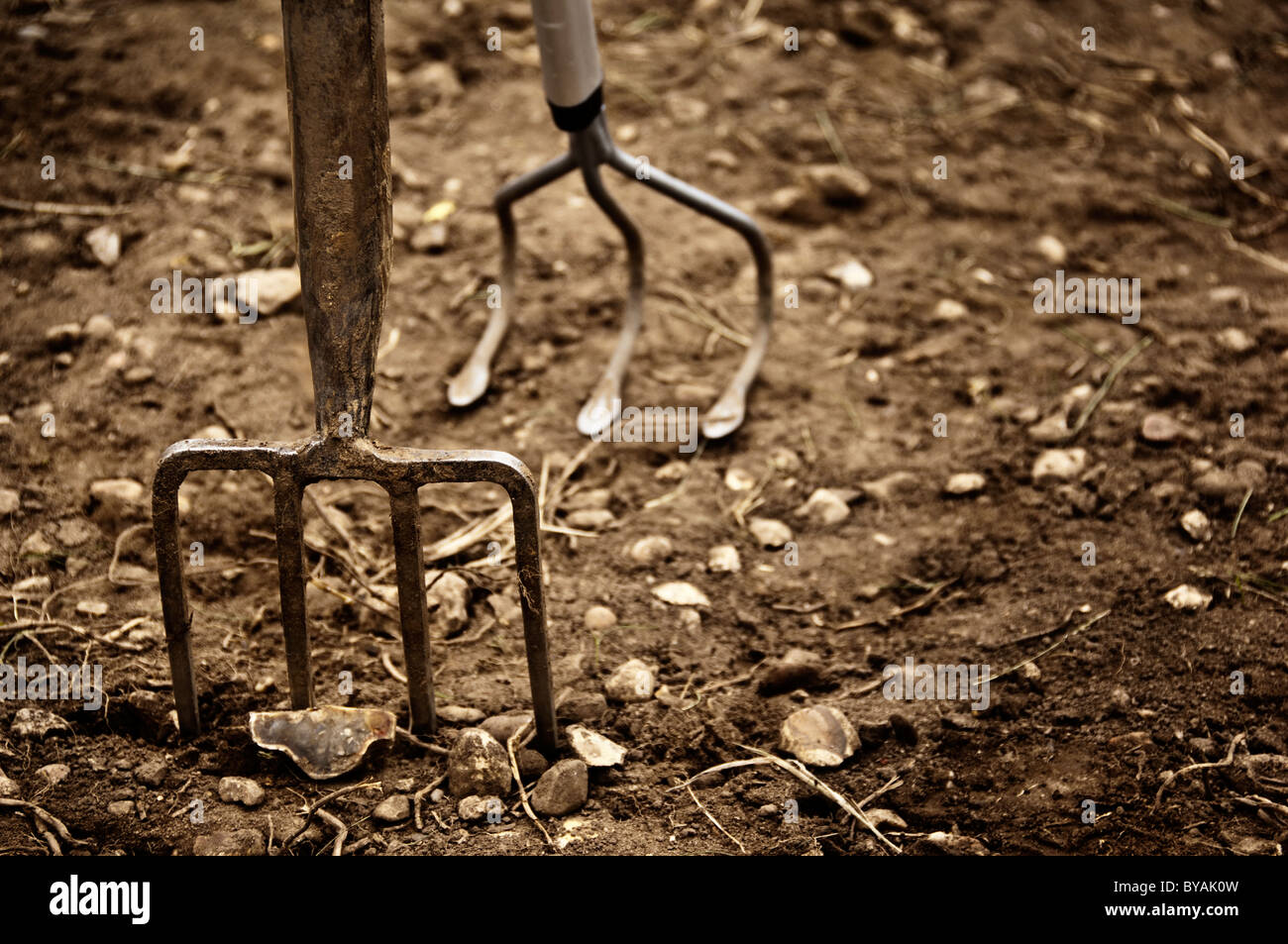 Garden fork and hoe Stock Photo Alamy
