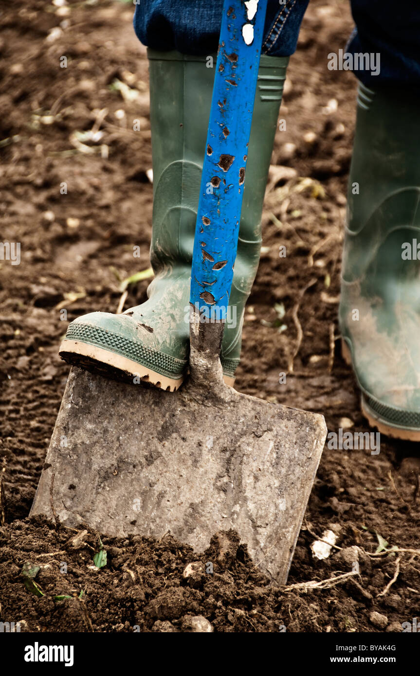 digging with a spade Stock Photo Alamy