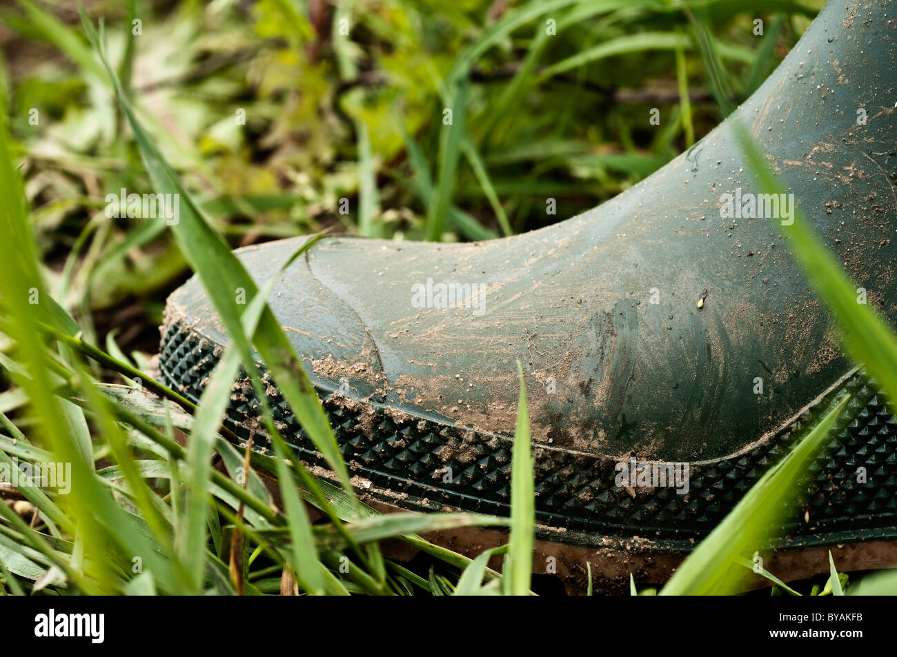 Wellington boot in grass Stock Photo