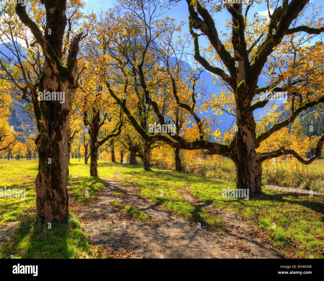 AT - TYROL: Grosser Ahornboden (HDR-Image) Stock Photo