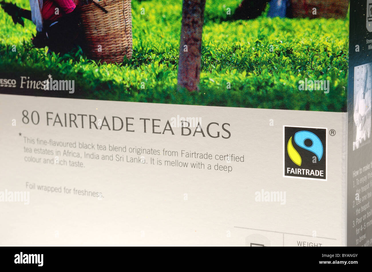 Fairtrade Tea Bags (Tesco Stock Photo Alamy