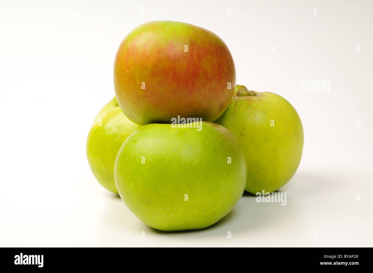 British Bramley Cooking Apples Stock Photo Alamy