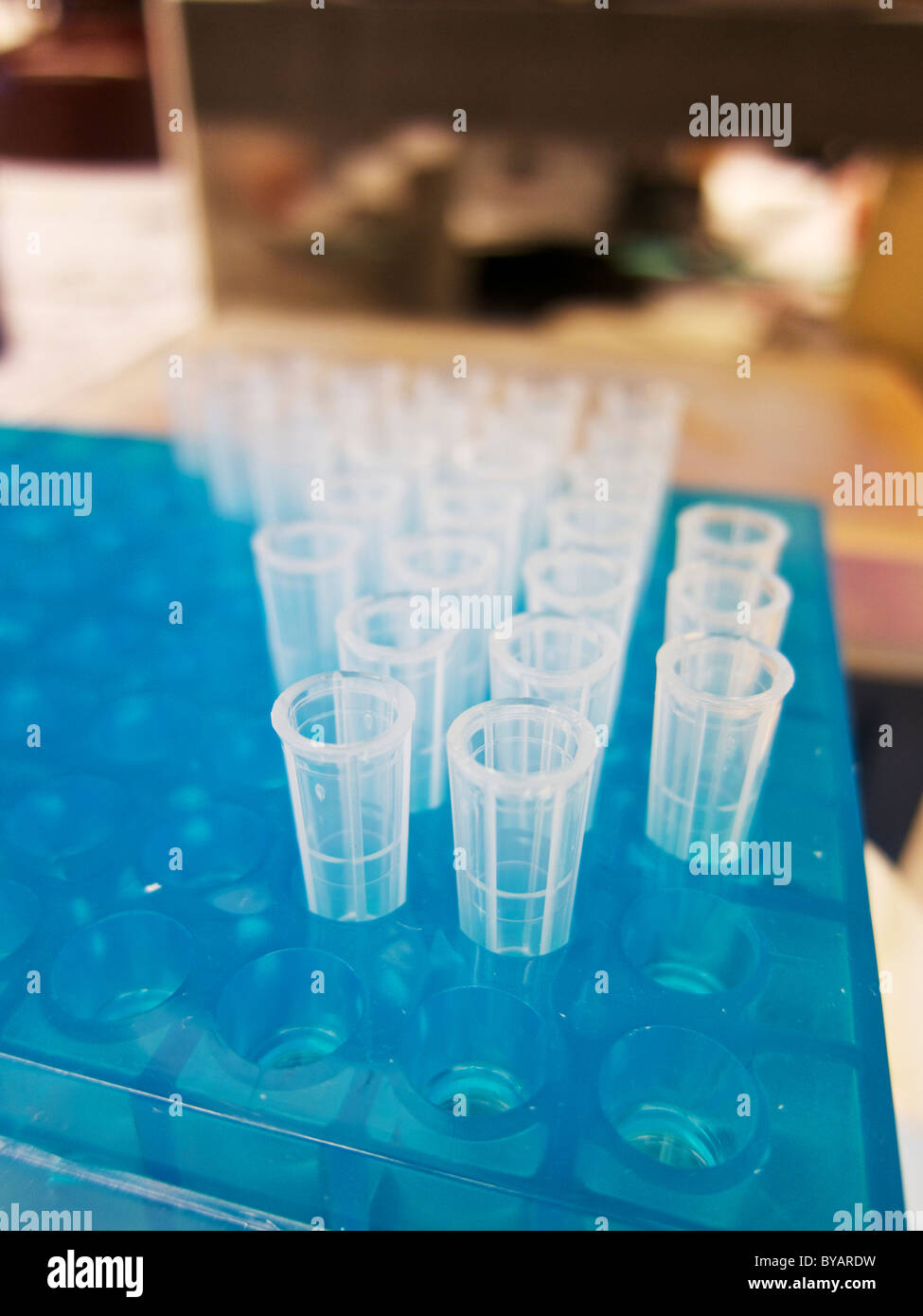 Micropipette tips in biotechnology laboratory. Stock Photo