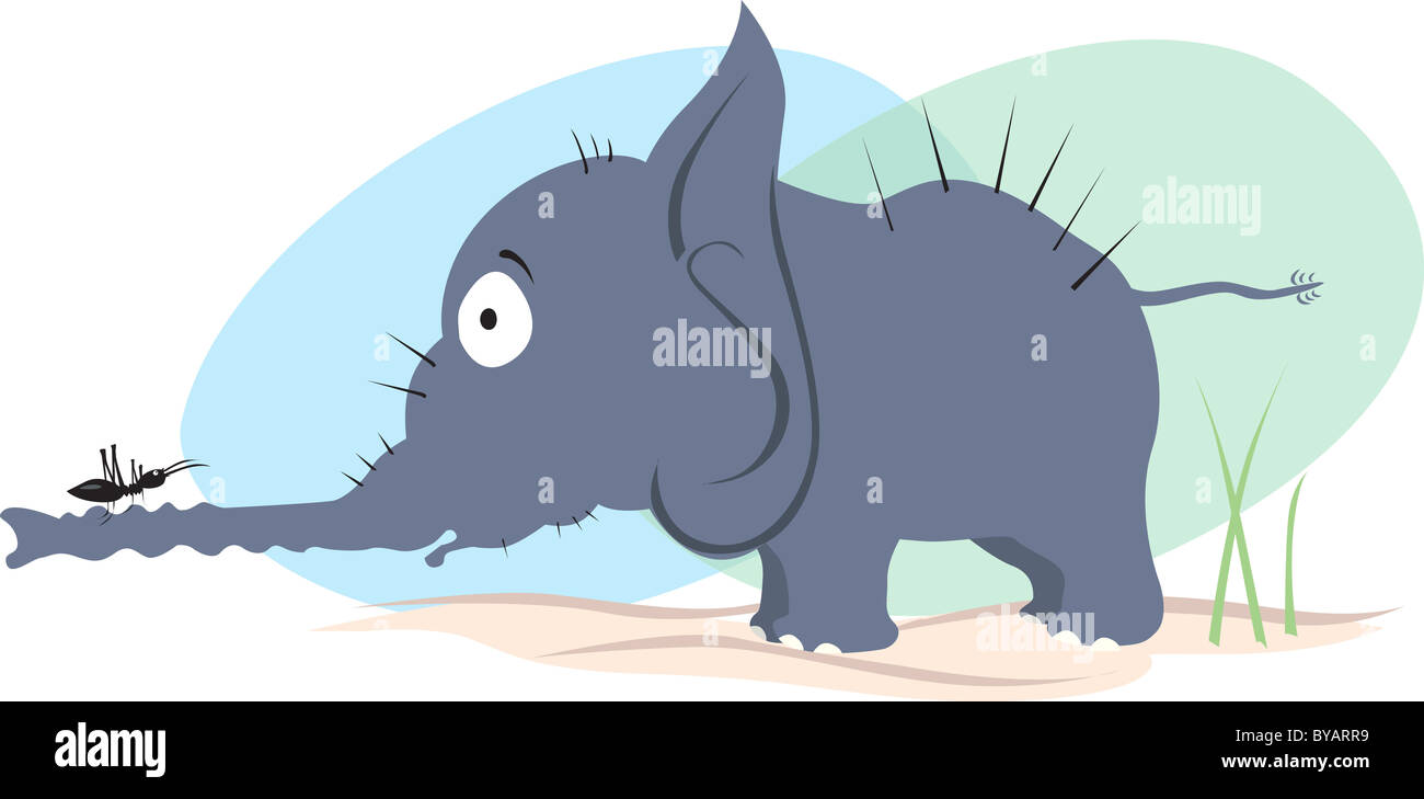 Elephant and ant Stock Photo Alamy