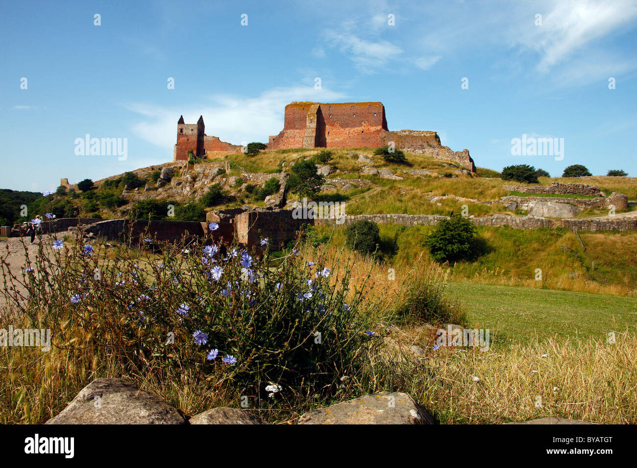 Hammershus castle ruins, Bornholm, Denmark, Europe Stock Photo Alamy