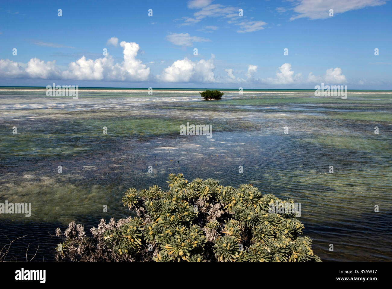 Mud-Flats, Cayo Guillermo, Archipielago de Camagüey, Province Ciego de ...