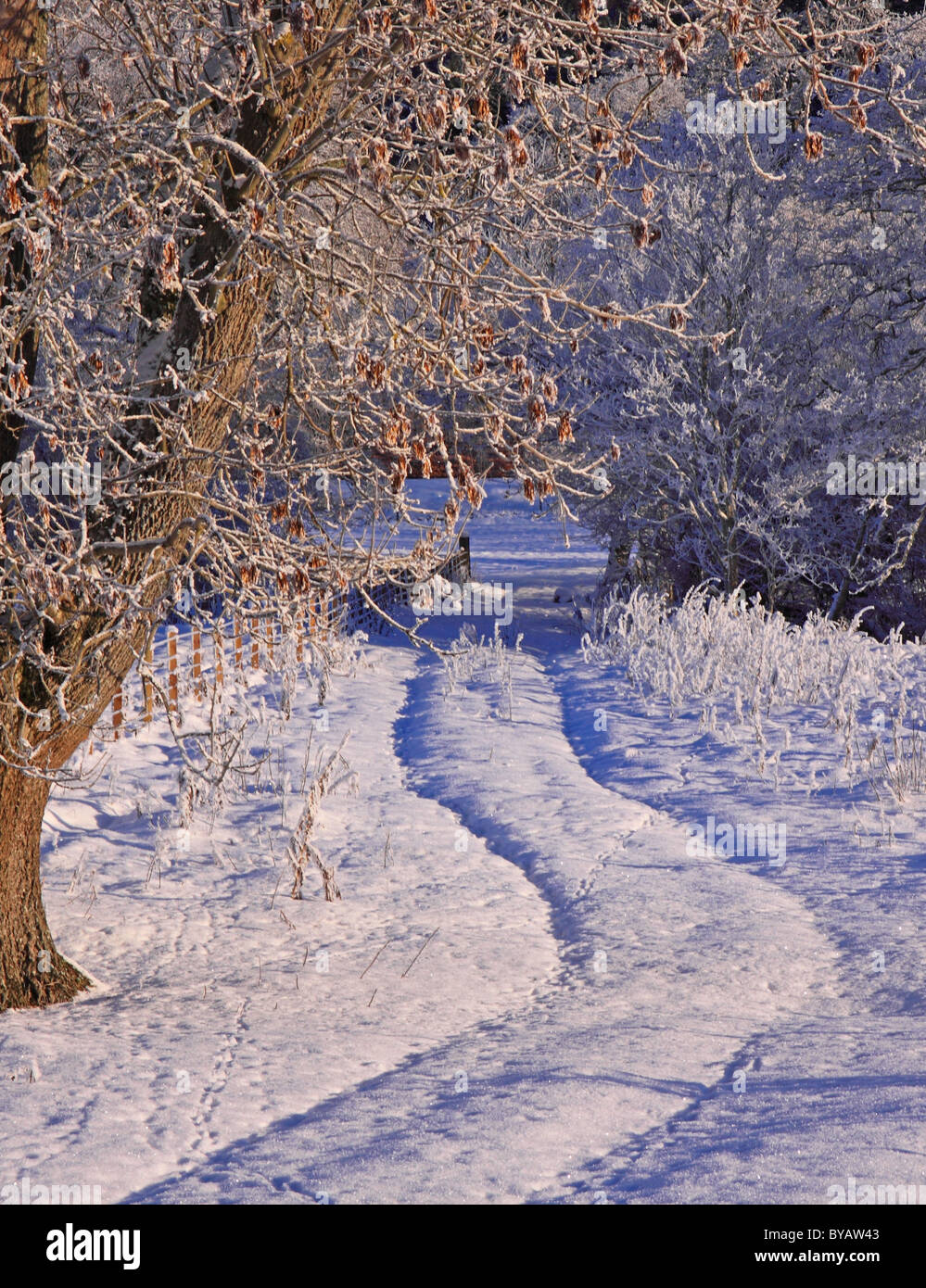 British winter countryside scene hi-res stock photography and images ...