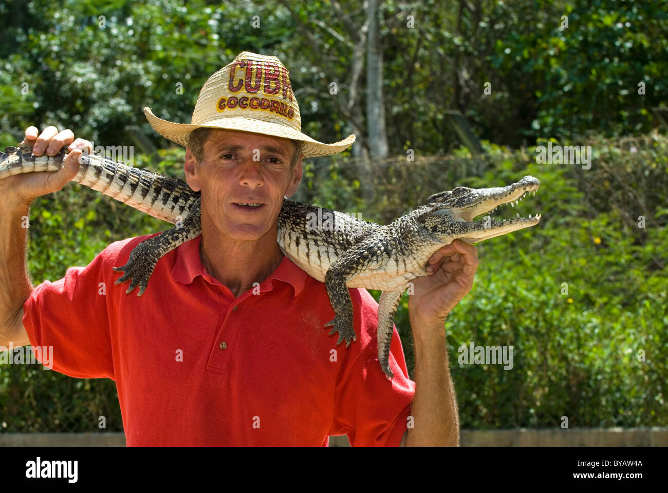 Crocodile Farm in La Boca ,Peninsula Zapata, Fernando, Cuba Stock Photo
