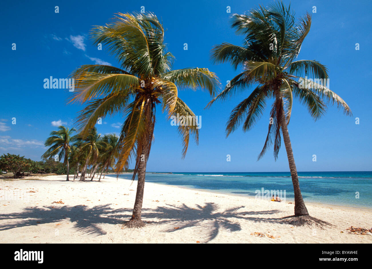 Playa Giron, Province Mantanzas, Cuba, Stock Photo