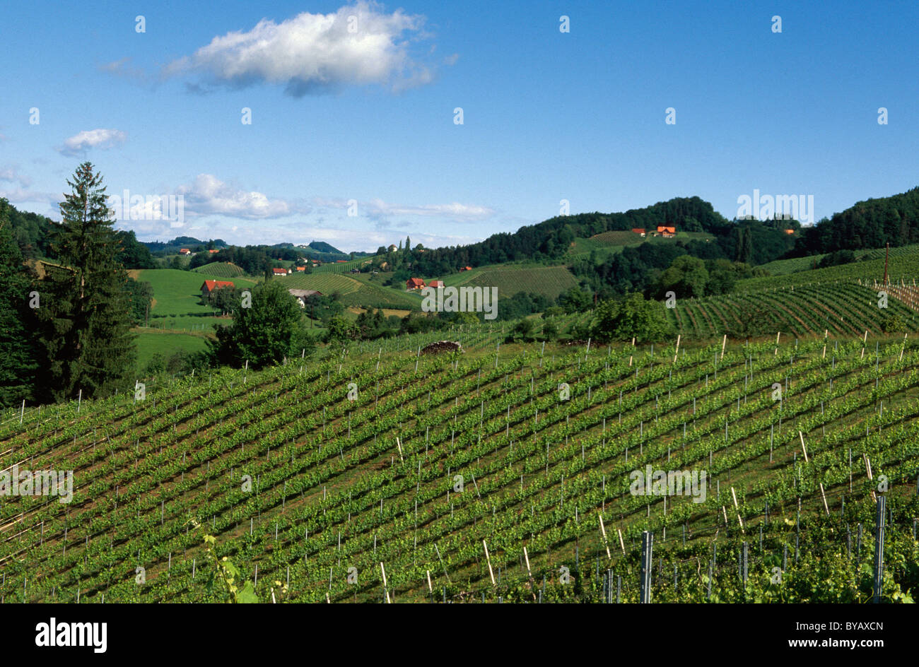 Styrian wine route hi-res stock photography and images - Alamy