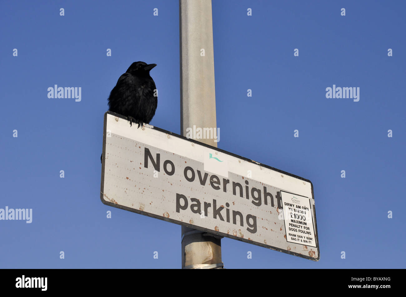 No overnight parking sign Stock Photo