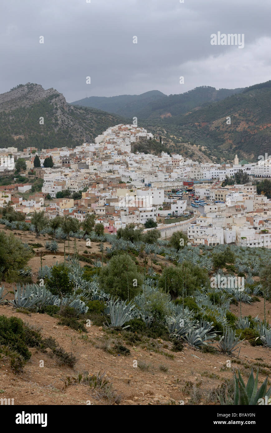 View of Moulay Idris, one of the holy cities of Islam, Morocco, Africa Stock Photo