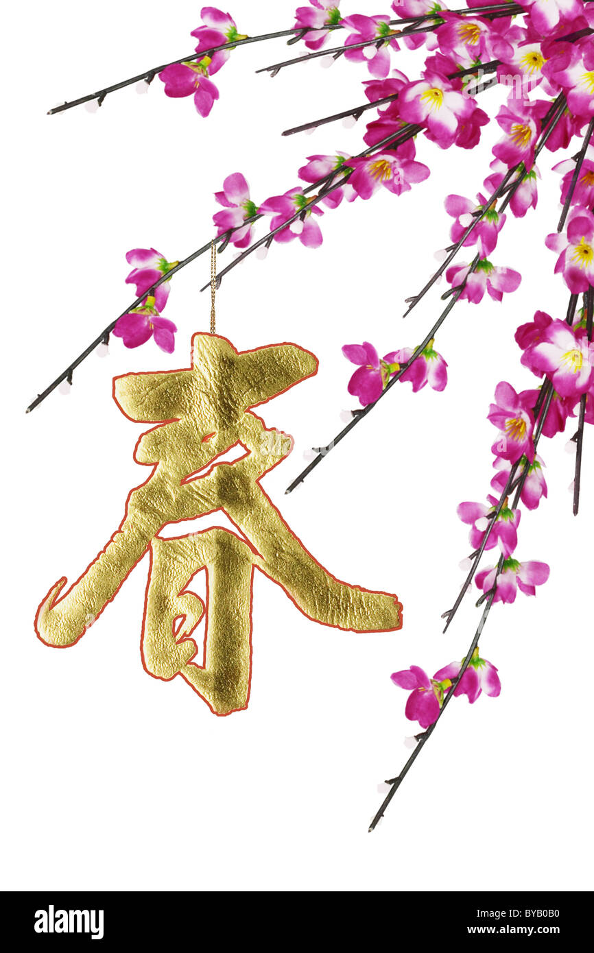 Chinese New Year calligraphy ornament and plum blossoms on white background Stock Photo
