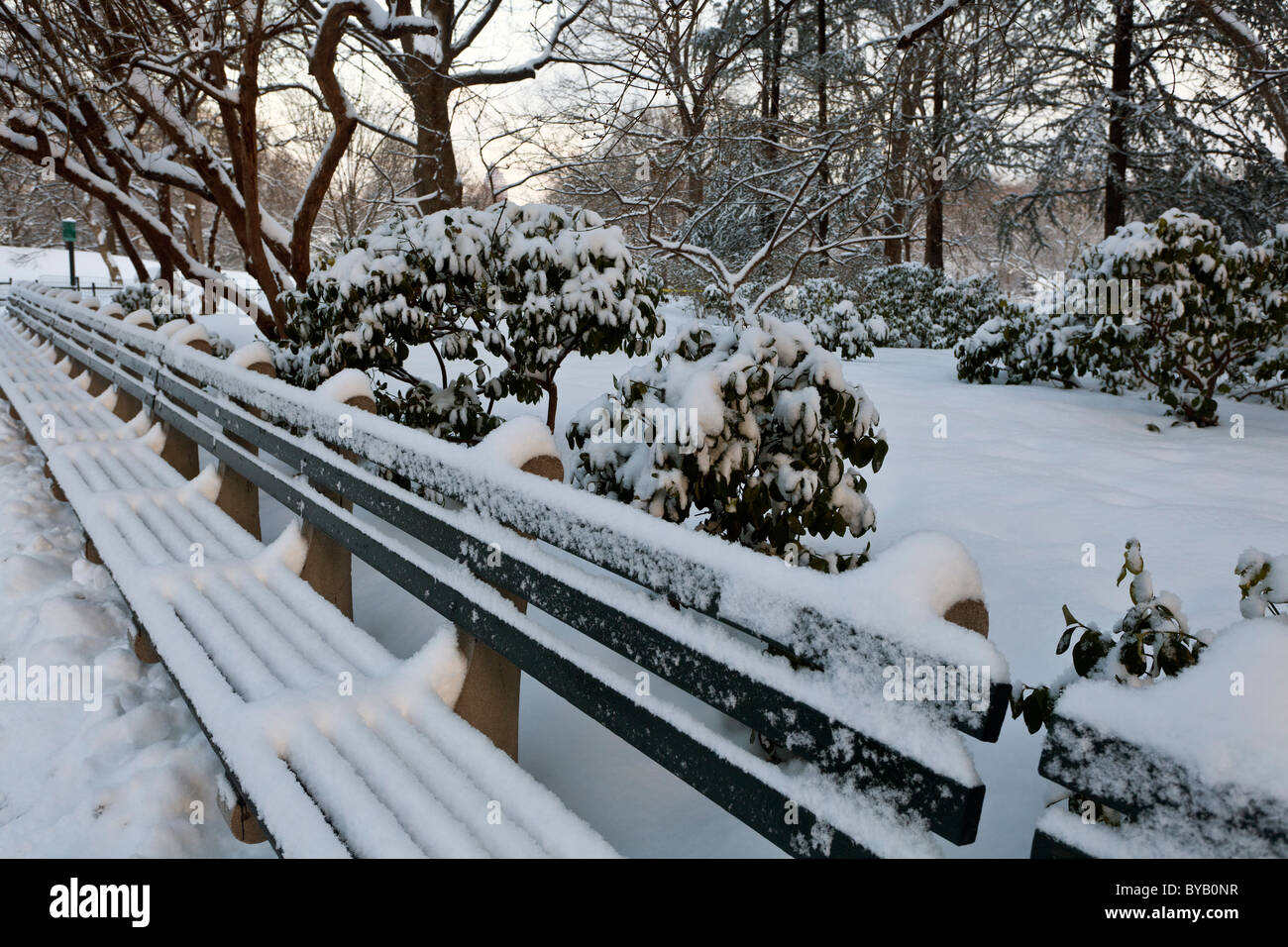 Central Park in New York City after large snow storm Stock Photo - Alamy