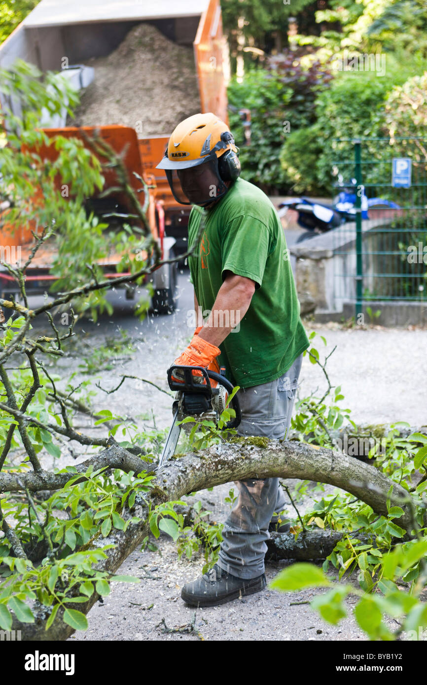 Lumberjack cutting down a tree piece by piece with a chainsaw, Germany, Europe Stock Photo