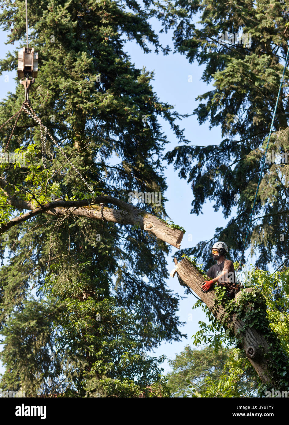 Lumber Jack Ropes Secured with a rope hi-res stock photography and images - Alamy