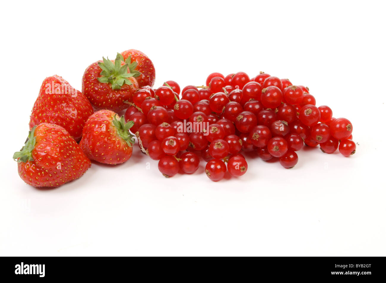 strawberries and redcurrant berries against a white background Stock Photo