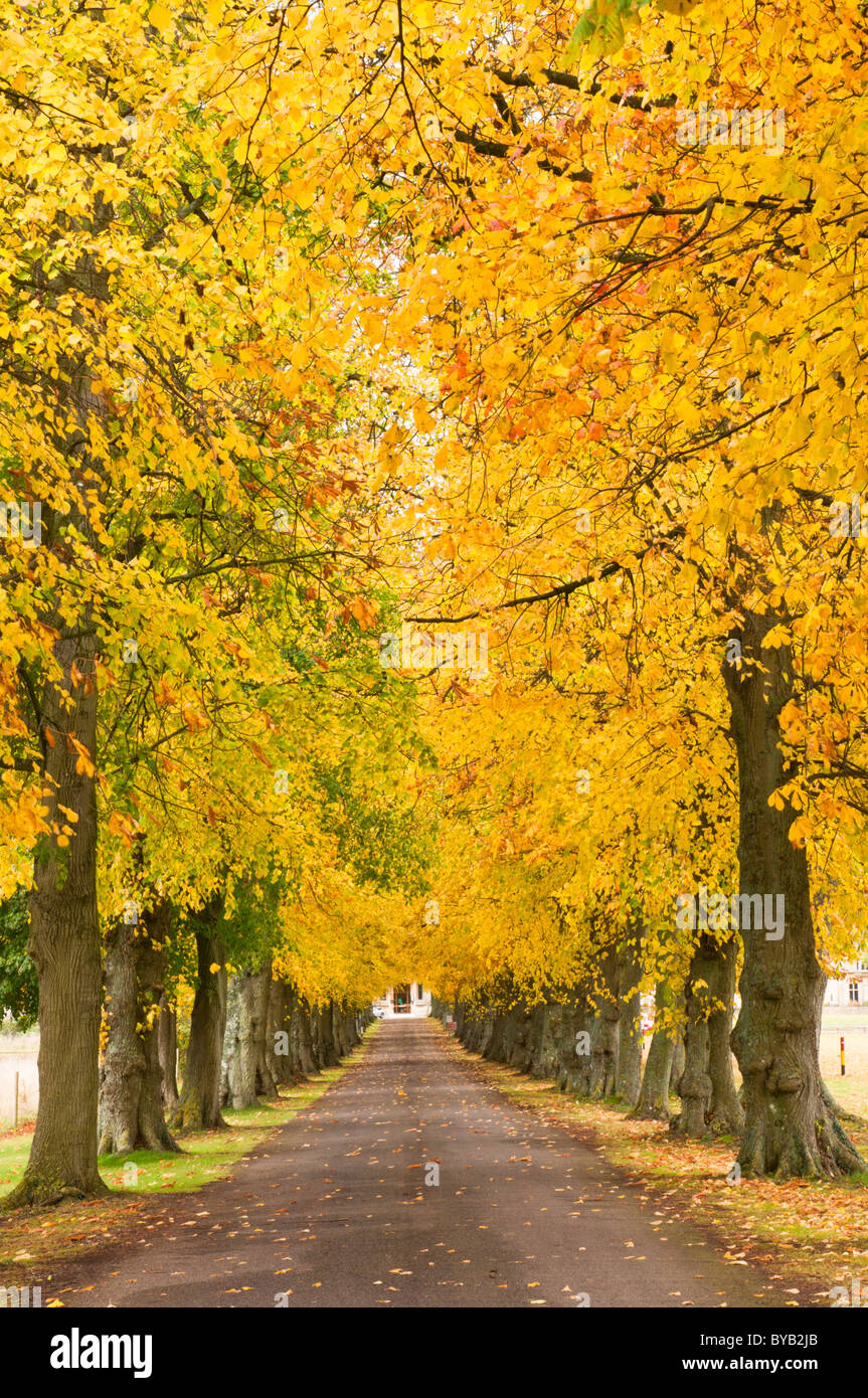 Cirencester agricultural college hires stock photography and images