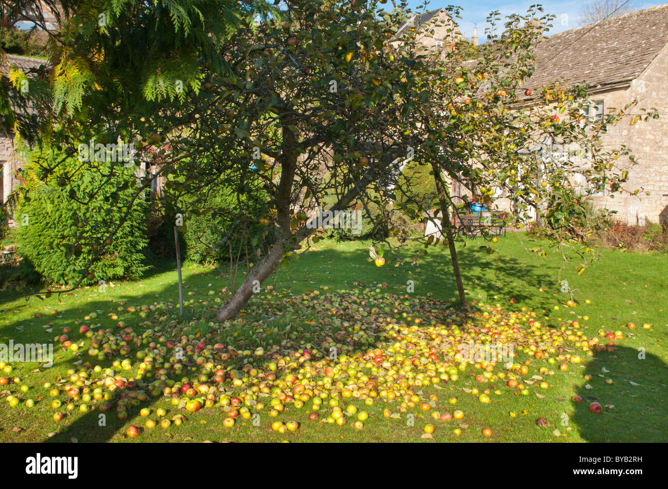 Windfall hires stock photography and images Alamy