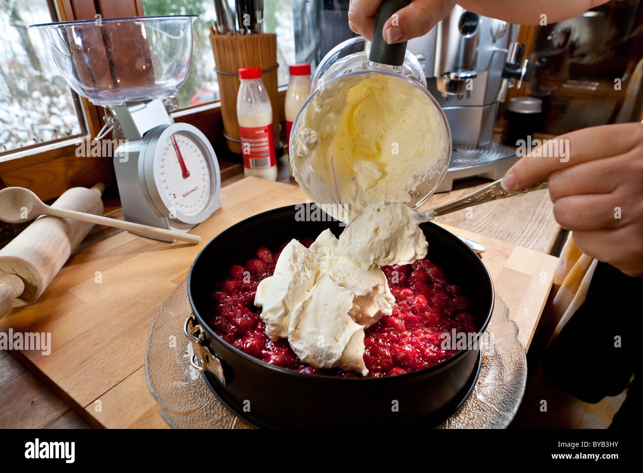 Preparation of a home-made Black Forest gateau, putting cream onto the ... image image