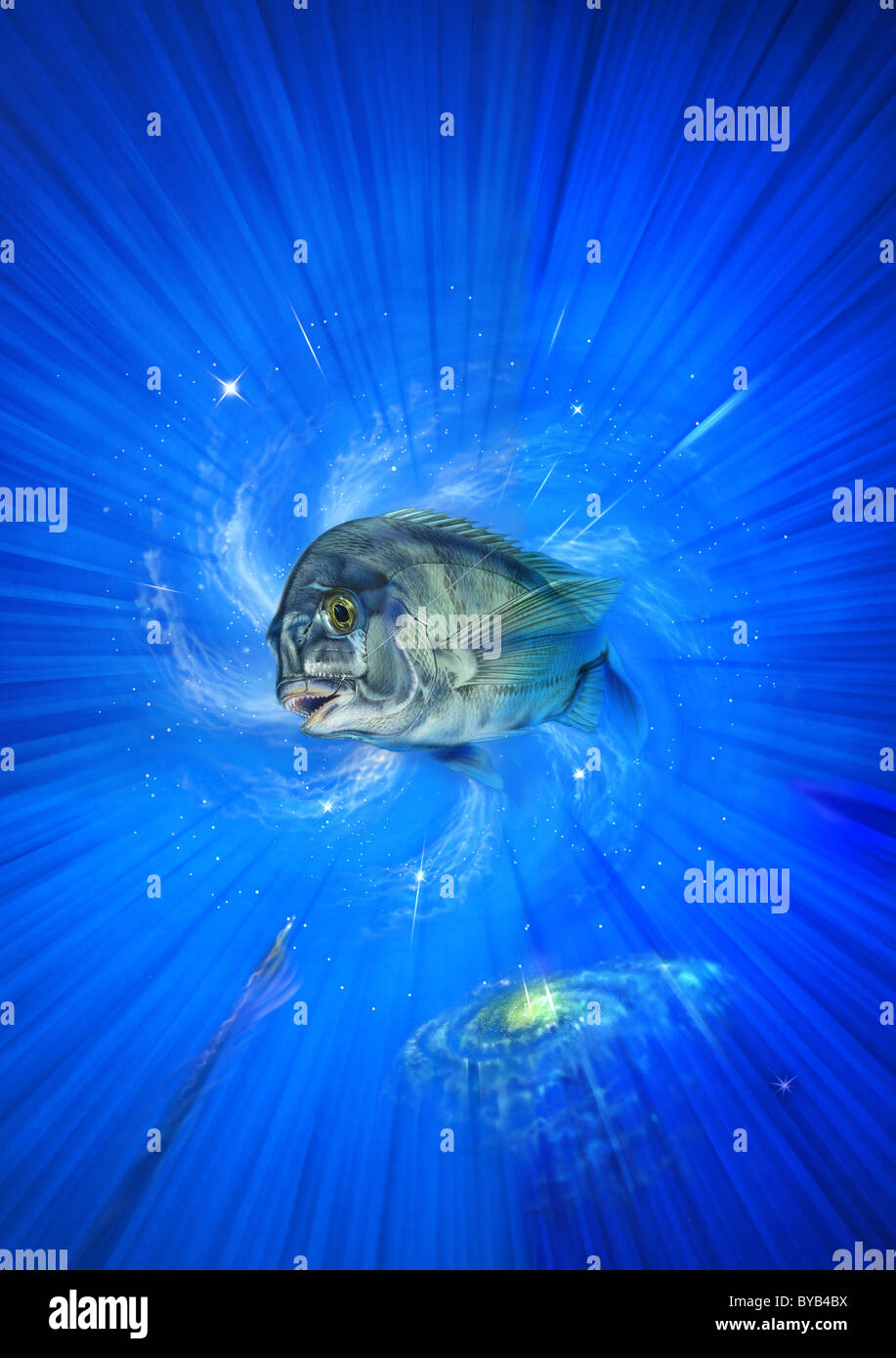 Fishing Japanese black porgy Stock Photo - Alamy