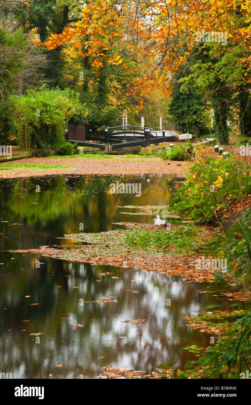 Basingstoke Canal in autumn, near Woking, Surrey, UK Stock Photo
