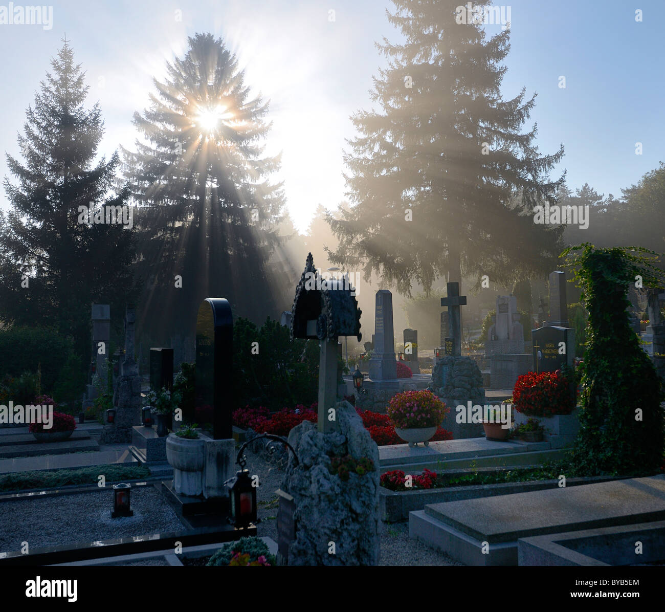 Cemetery in the morning mist, Berndorf, Triestingtal, Lower Austria, Austria, Europe Stock Photo