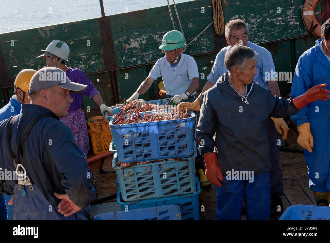 Crab are sorted and crated on a Russian fishing boat at the port in