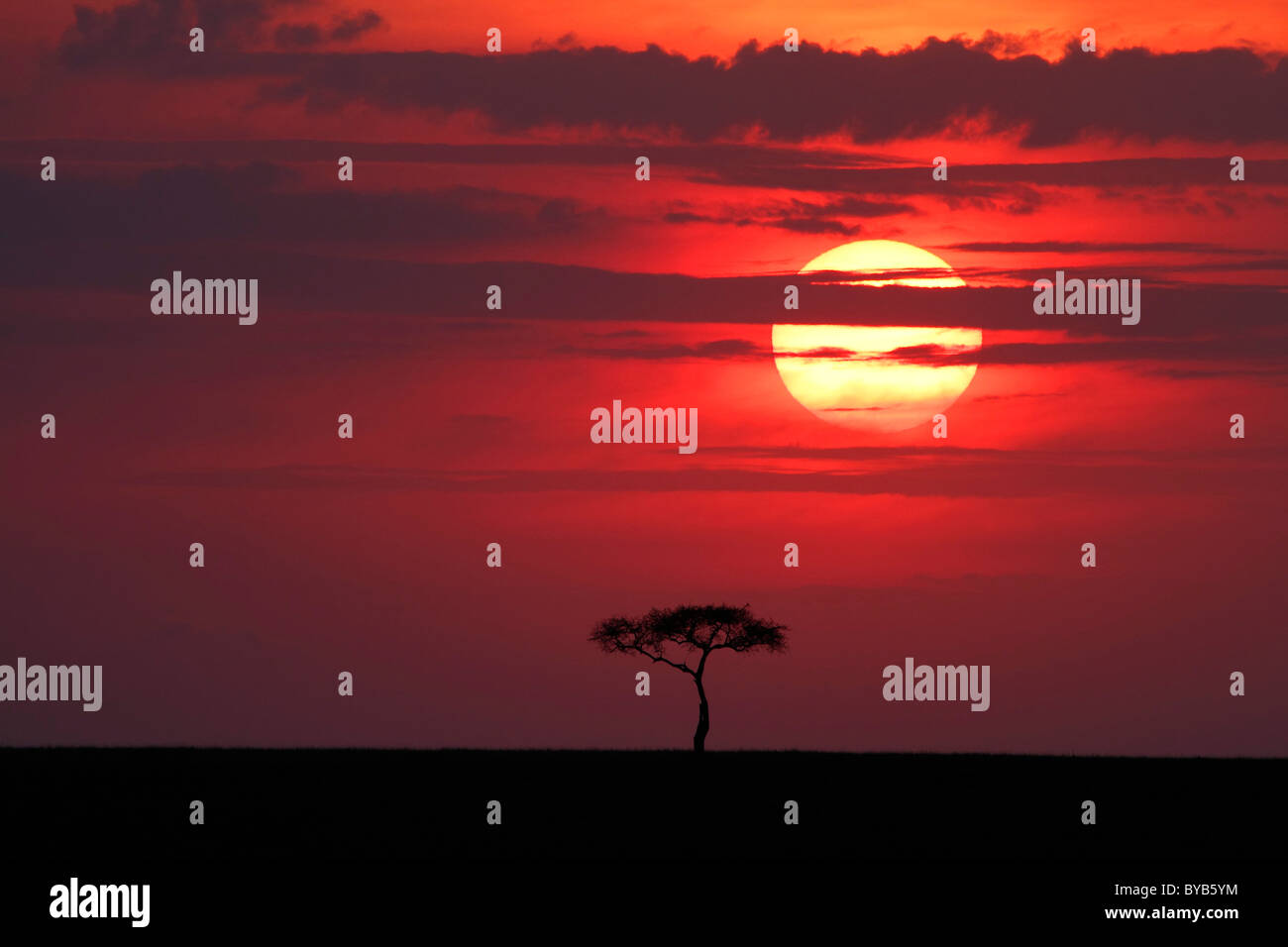 Sunset masai mara kenya masai hi-res stock photography and images - Alamy