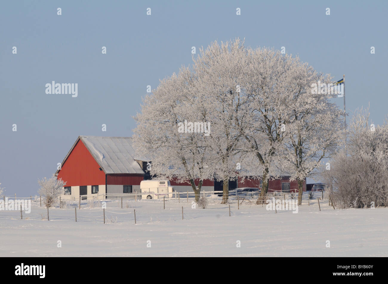 Farm in winter landscape, Skåne, Sweden, Europe Stock Photo
