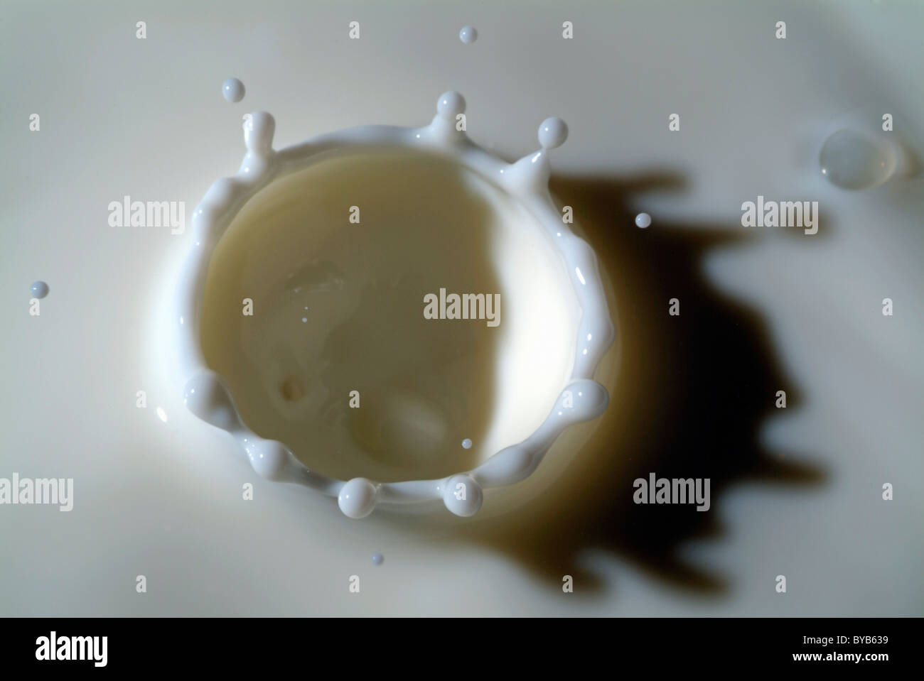 Milk splashing into the air Stock Photo - Alamy