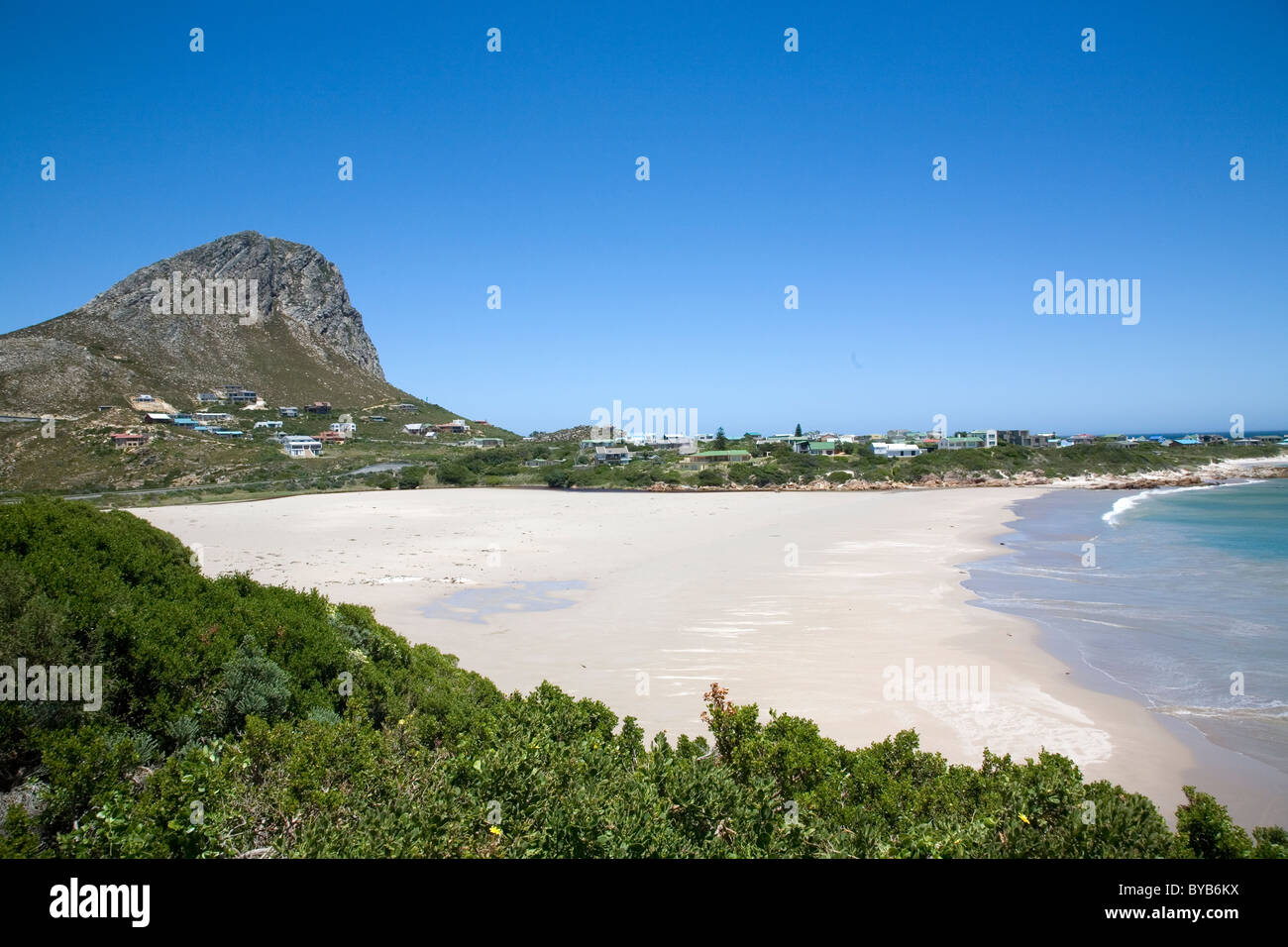 Rooi-Els in Western Cape Stock Photo