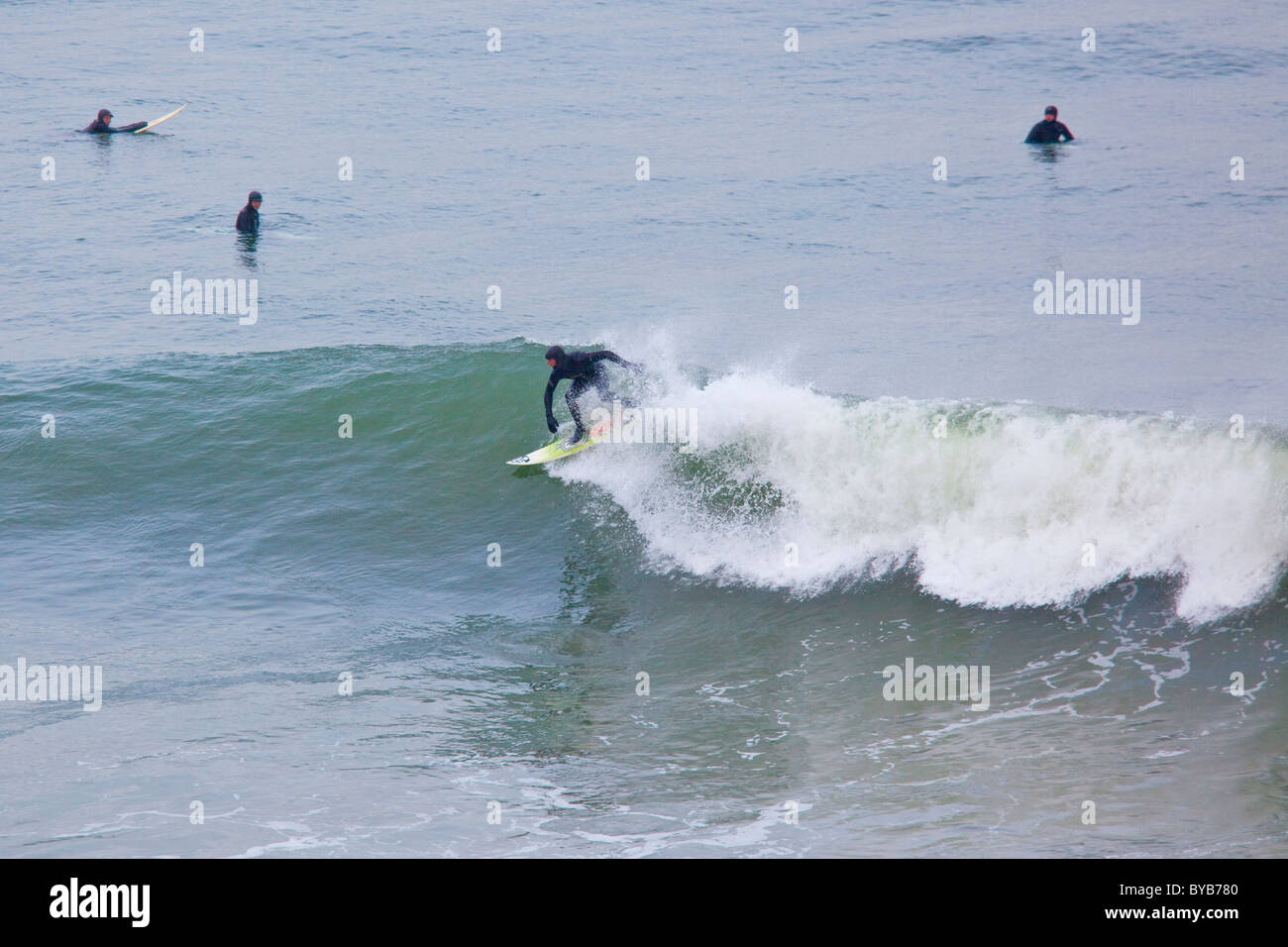 Surfing off of Montauk in Long Island, New York Stock Photo Alamy