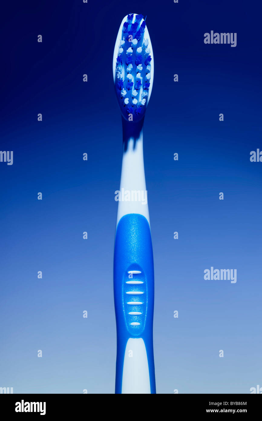 Blue and white toothbrush, conceptual Stock Photo