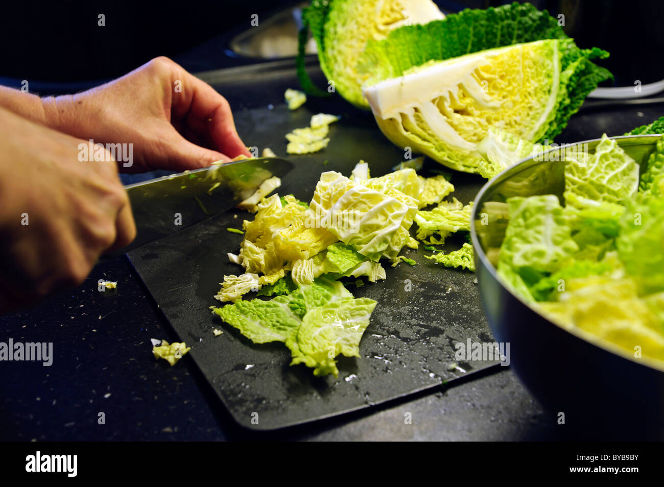 Savoy cabbage being chopped Stock Photo Alamy