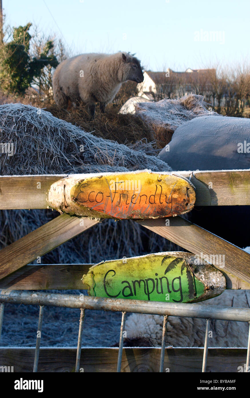 Ecofriendly Camping site, Bude, Cornwall, UK Stock Photo Alamy