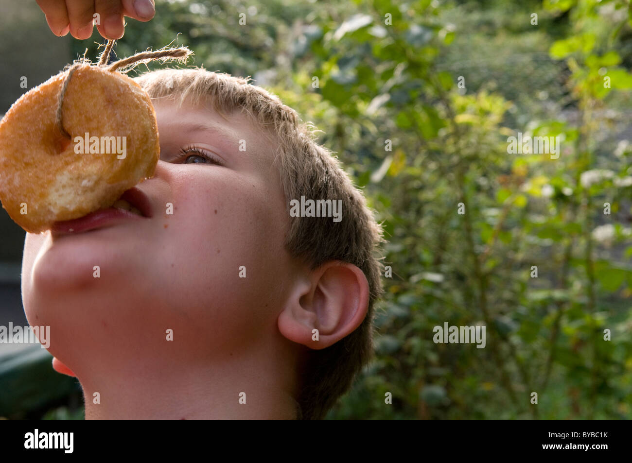 Child eating a doughnut off a string Stock Photo - Alamy