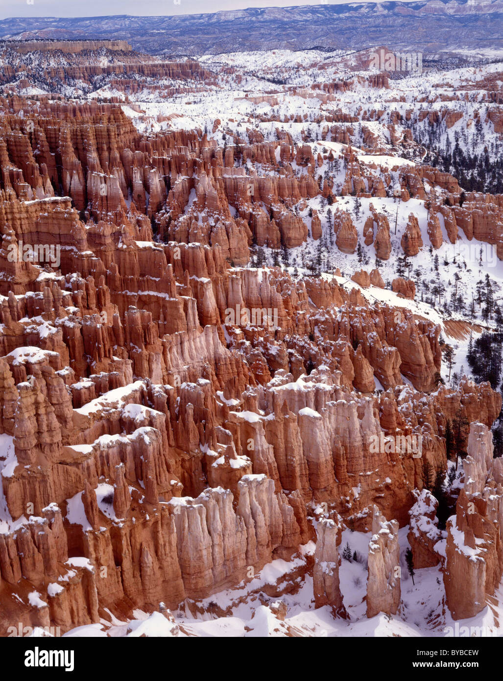 Rock Formations, Winter, Snow, Bryce Canyon National Park, Utah Stock Photo