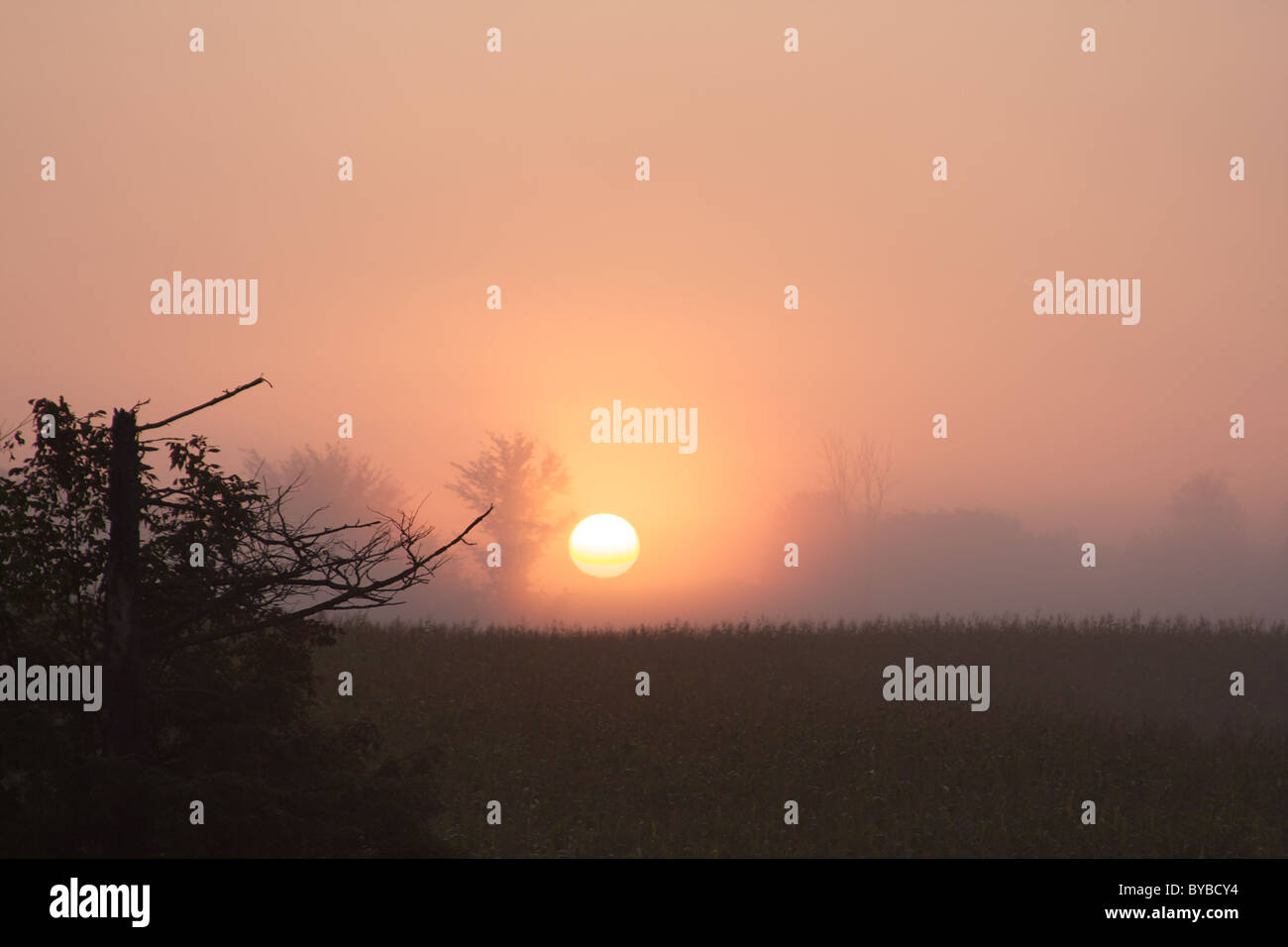 Sunrise over farm hi-res stock photography and images - Alamy
