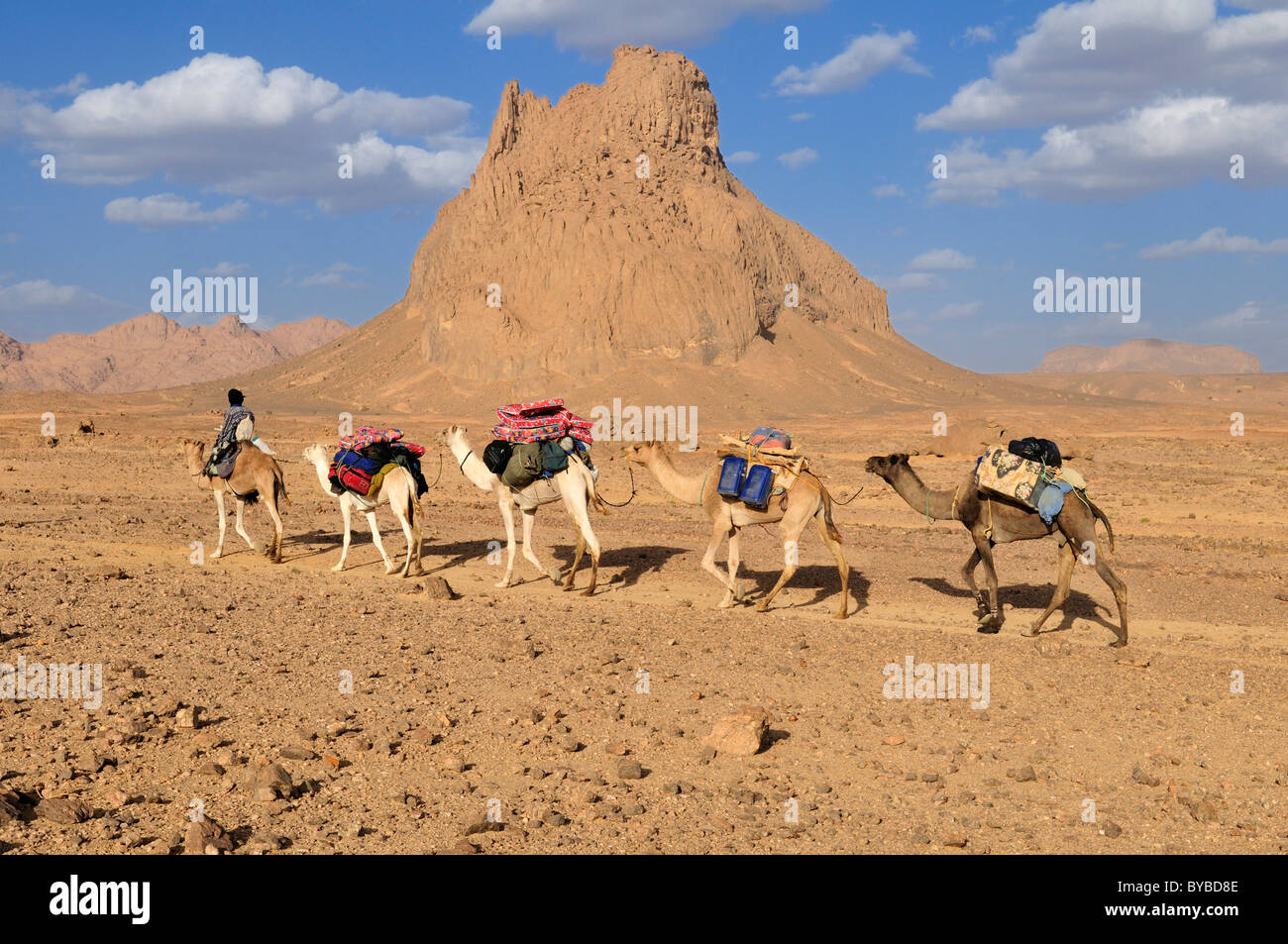 Camel train, caravan, in the volcanic landscape of Hoggar, Ahaggar Mountains, Wilaya Tamanrasset, Algeria, Sahara, North Africa Stock Photo